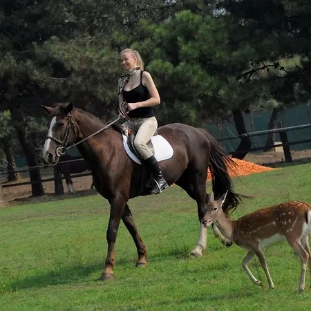 Appartmento S3m Albarella Island